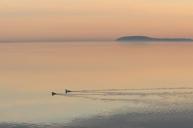 1133 Bay Street, Traverse City, MI 49684