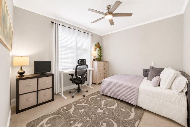 2320 Emancipation Avenue, Houston, TX 77004