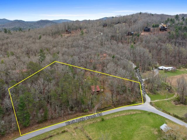 541 Black Ankle Creek Road, Cherry Log, GA 30522