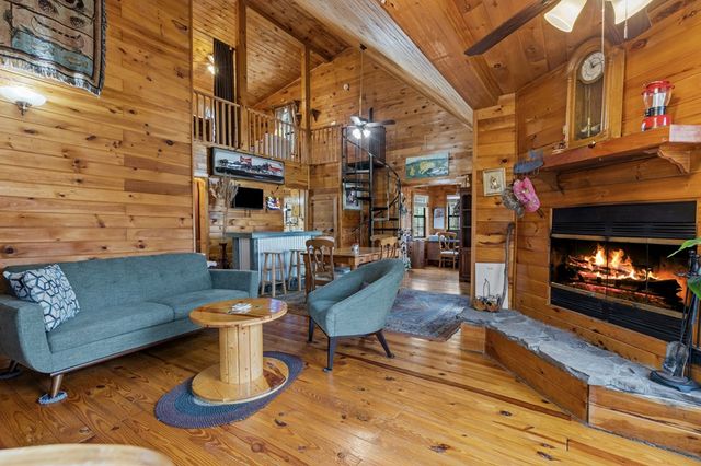 541 Black Ankle Creek Road, Cherry Log, GA 30522