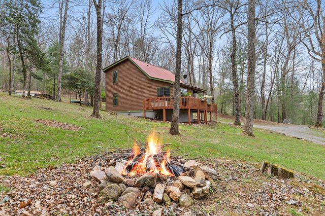 541 Black Ankle Creek Road, Cherry Log, GA 30522