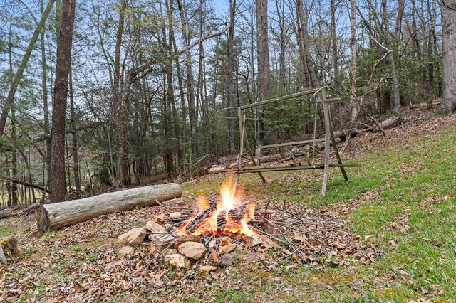 541 Black Ankle Creek Road, Cherry Log, GA 30522
