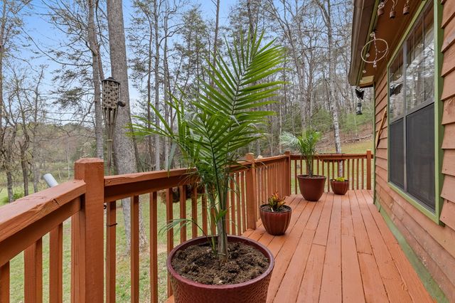 541 Black Ankle Creek Road, Cherry Log, GA 30522