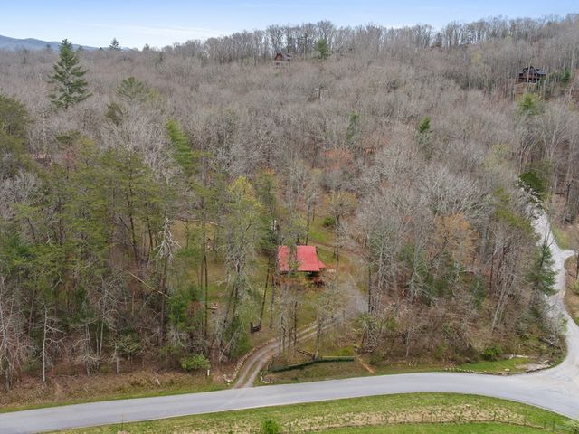 541 Black Ankle Creek Road, Cherry Log, GA 30522