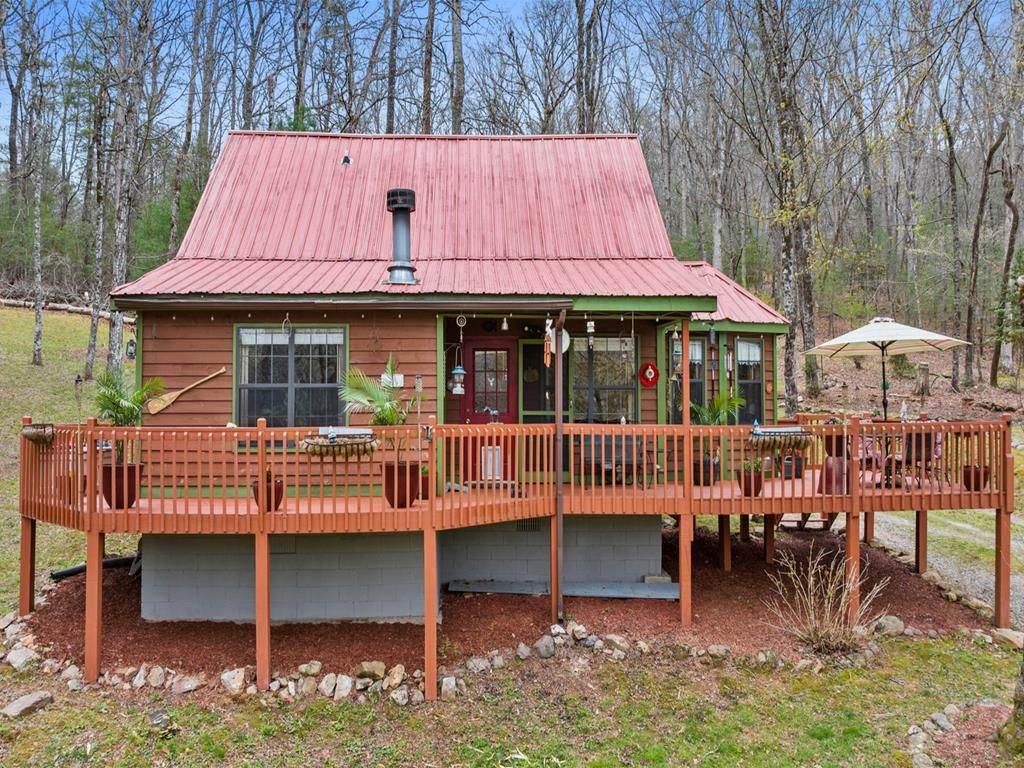 541 Black Ankle Creek Road, Cherry Log, GA 30522