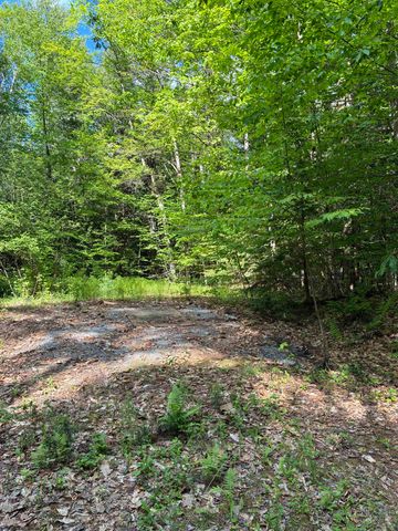 224 Forest Road, Hancock, NH 03449