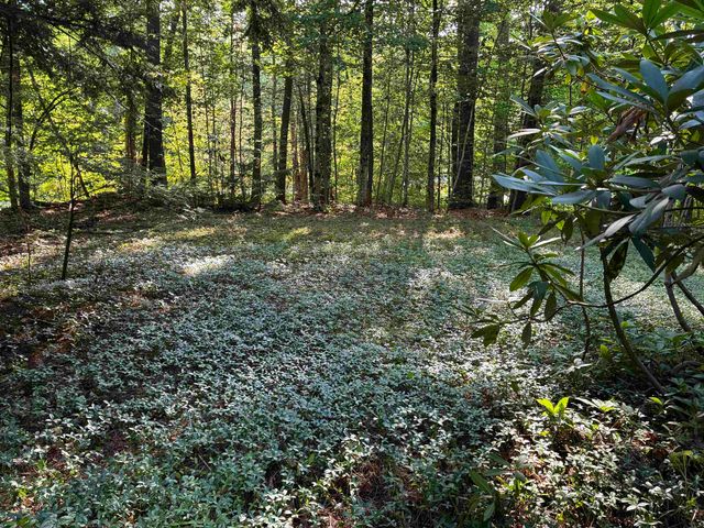 224 Forest Road, Hancock, NH 03449