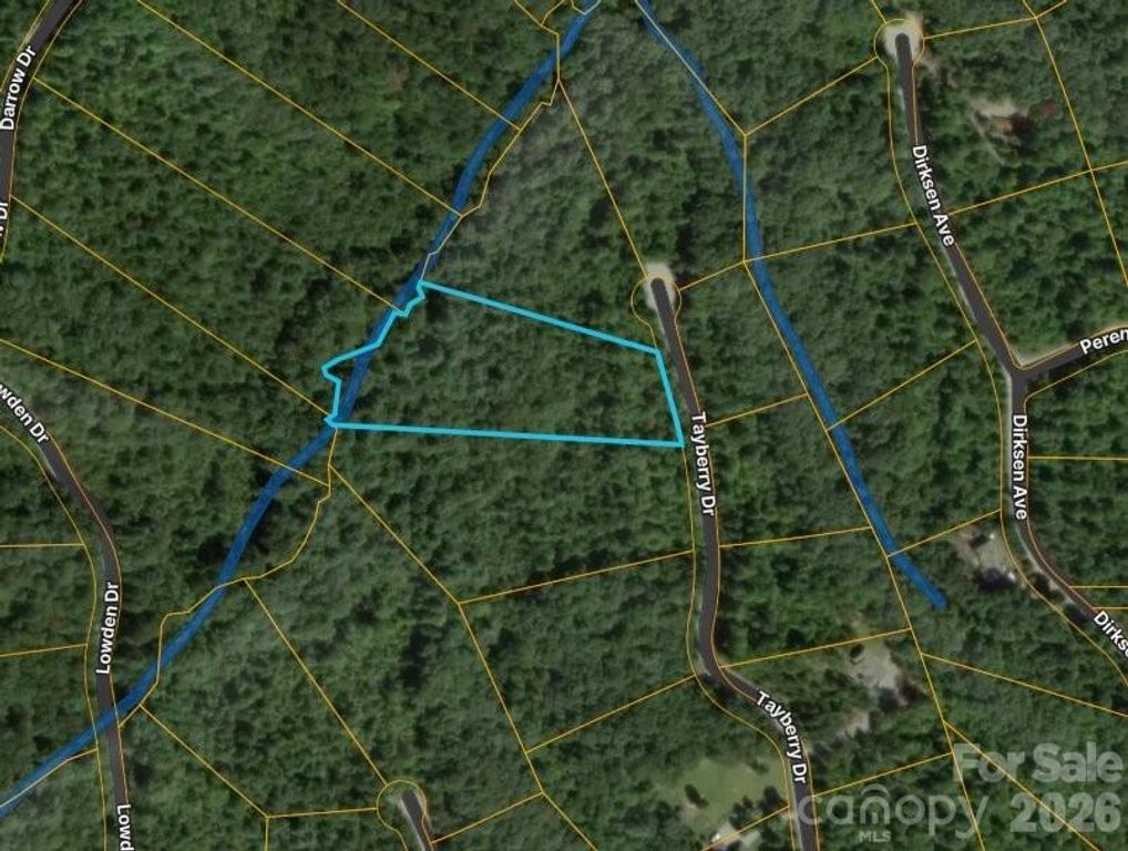 0 Tayberry Drive, Nebo, NC 28761