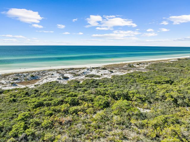 244 W Park Place Avenue, Inlet Beach, FL 32461