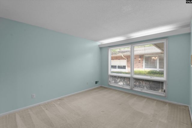 100 Hagen Court, Lexington, SC 29072