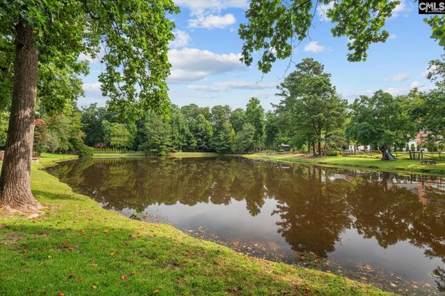 100 Hagen Court, Lexington, SC 29072