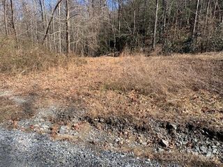 10.01 ac Pleasant Grove Road TRACT 3, Hendersonville, NC 28739