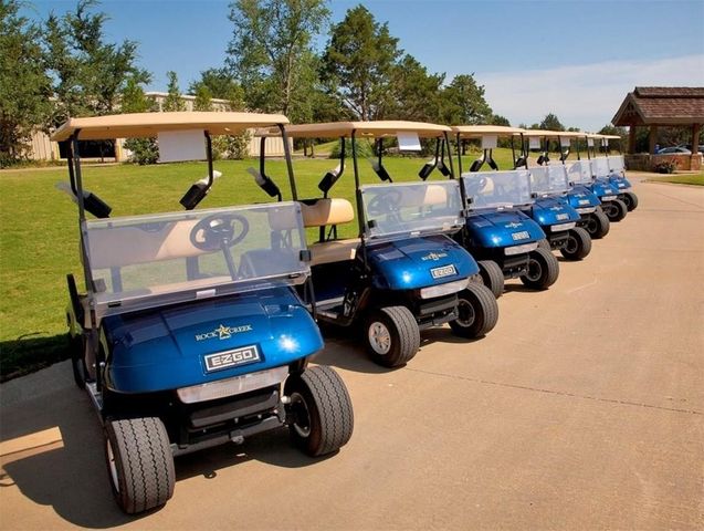 272 Roaring Fork Circle, Gordonville, TX 76245