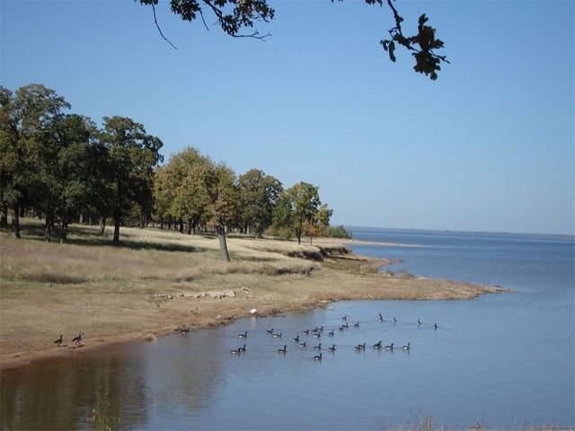 272 Roaring Fork Circle, Gordonville, TX 76245