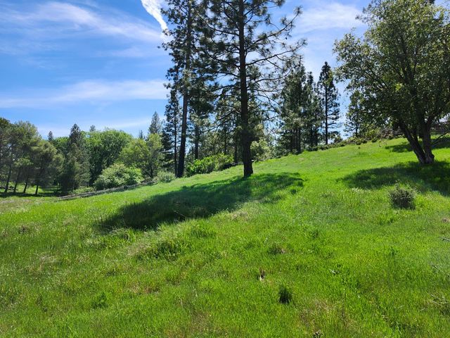 10006 Wendell Rd, Mountain Ranch, CA 95246