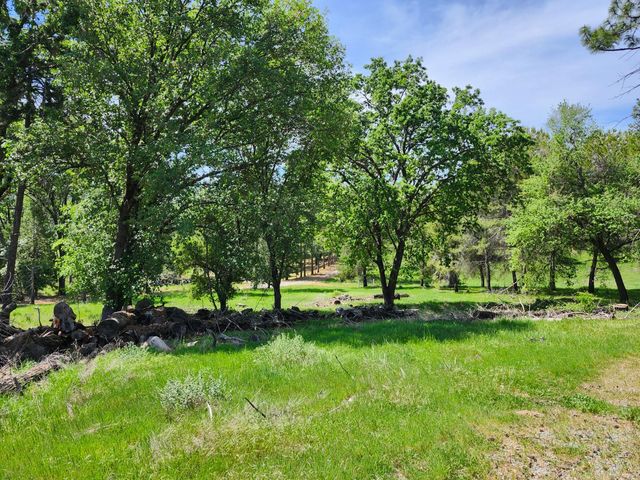 10006 Wendell Rd, Mountain Ranch, CA 95246