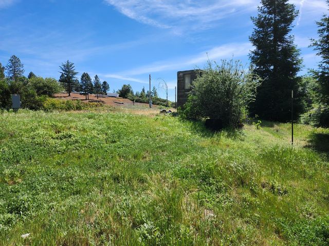 10006 Wendell Rd, Mountain Ranch, CA 95246