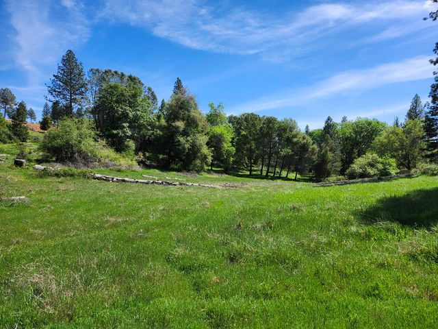 10006 Wendell Rd, Mountain Ranch, CA 95246