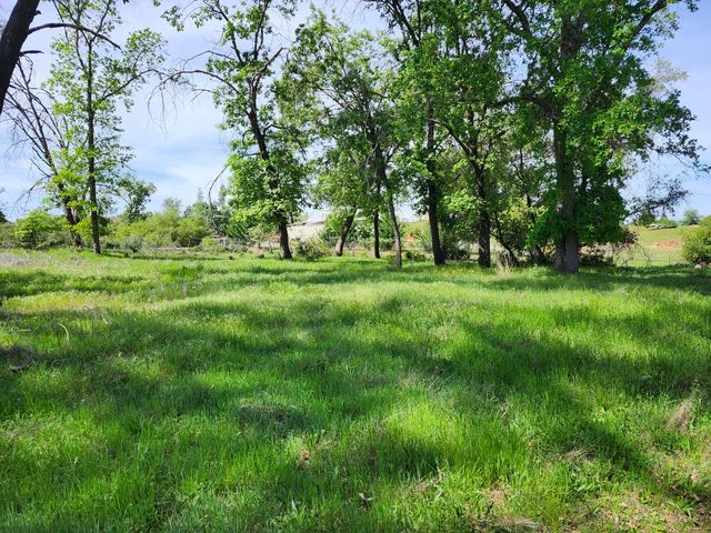 10006 Wendell Rd, Mountain Ranch, CA 95246