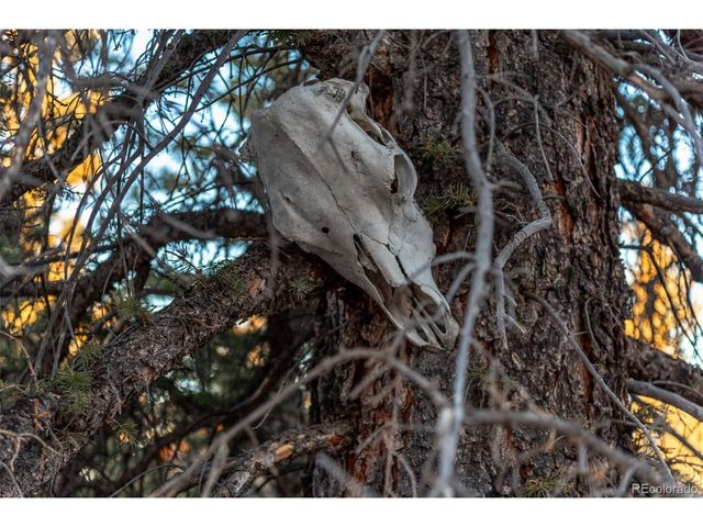 270 Piaute Way, Como, CO 80432