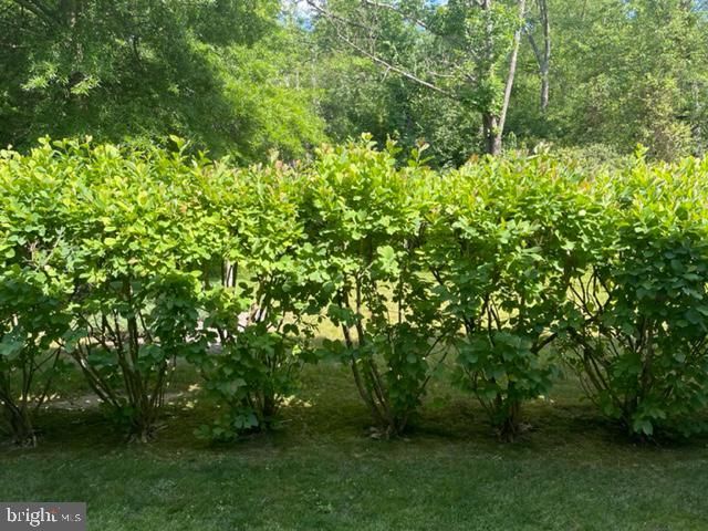 11 TREE SWALLOW DR, Princeton, NJ 08540