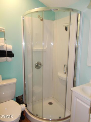 1157 VILLA LANE, Gatlinburg, TN 37738
