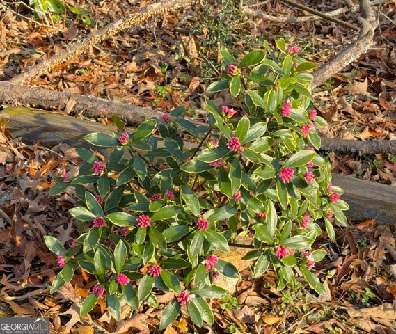 134 Bent Tree Drive, Athens, GA 30606