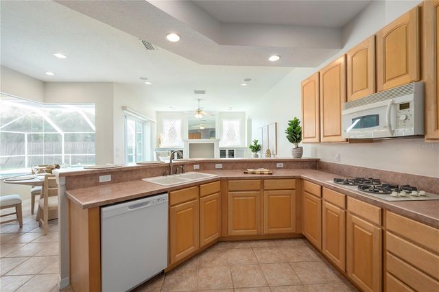 10506 BRENTFORD DRIVE, Tampa, FL 33626