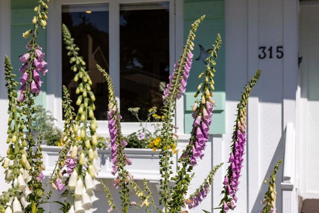 315 Willow Street, Pacific Grove, CA 93950
