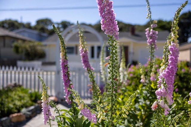 315 Willow Street, Pacific Grove, CA 93950