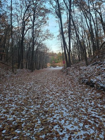 2567 S Sportsman Drive, Big Prairie Twp, MI 49349