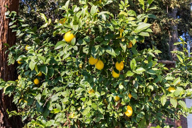 1786 Le Bec Ct, Lodi, CA 95240