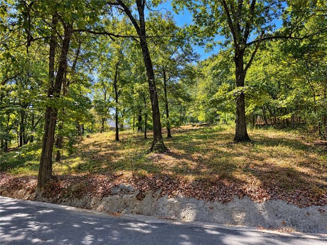 12197 Kenneth Price Road, Elm Springs, AR 72762
