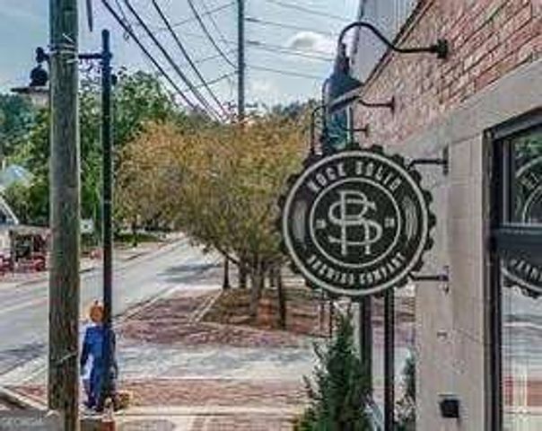 110 Highlands Chase, Ball Ground, GA 30107