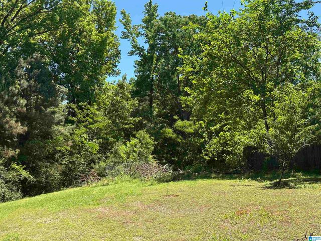5715 HIGHWAY 10, Montevallo, AL 35115