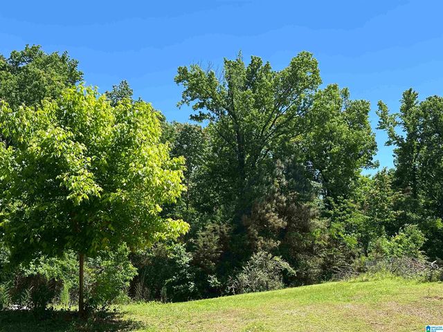 5715 HIGHWAY 10, Montevallo, AL 35115