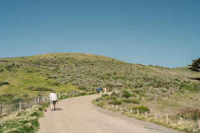 529 Alta Way, Mill Valley, CA 94941