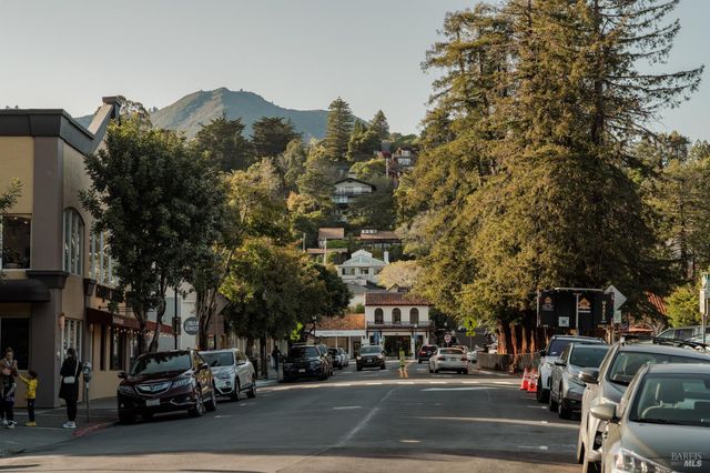 529 Alta Way, Mill Valley, CA 94941