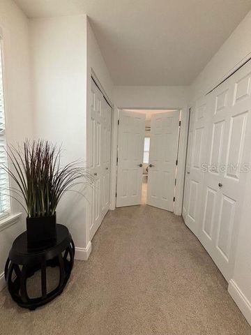 16077 DAWNVIEW DRIVE, Tampa, FL 33624