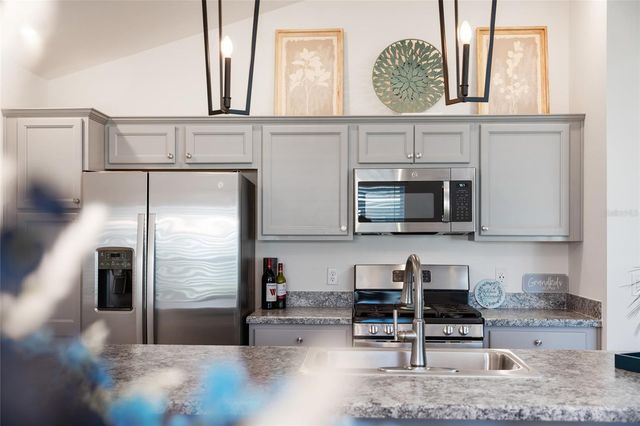 2909 CHIMBORAZO WAY, The Villages, FL 32163