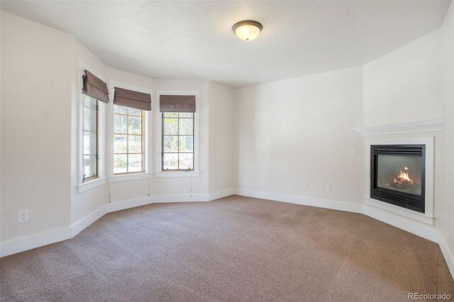 370 N Oak Street, Alma, CO 80420