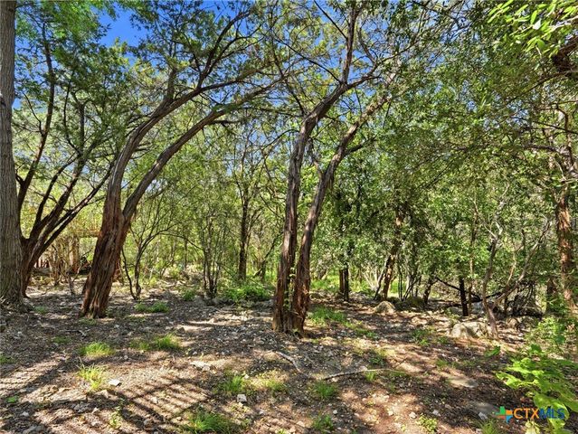 33 Greens Cliff, San Antonio, TX 78216