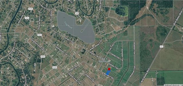 466 Angus Trail, Angleton, TX 77515