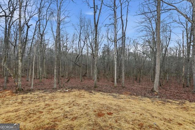 142 Alfred Drive, Carrollton, GA 30116