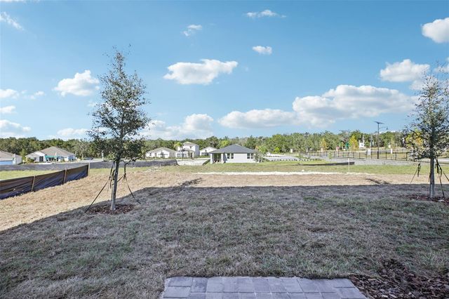 698 MUHLY STREET, Lady Lake, FL 32159