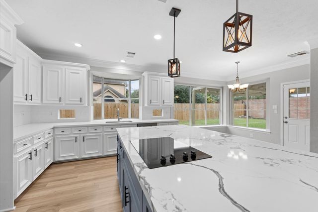 3207 Scenic Elm Street, Houston, TX 77059