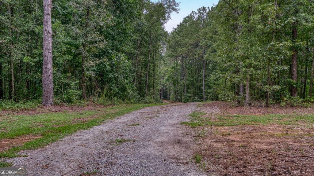 130 Levi Trail, Nicholson, GA 30565 — photo 3