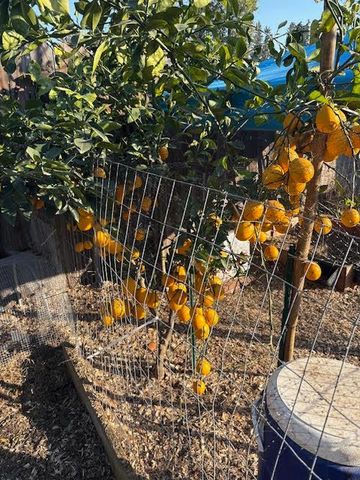 4736 N Vagedes Avenue, Fresno, CA 93705