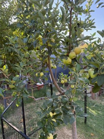 4736 N Vagedes Avenue, Fresno, CA 93705