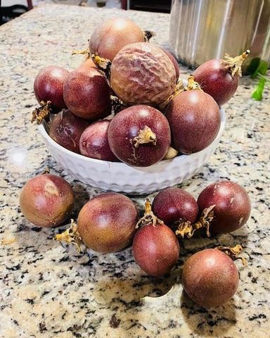 4736 N Vagedes Avenue, Fresno, CA 93705